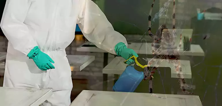 Why Buyers Still Want Homes With Pest Infestations in Riverside, CA?