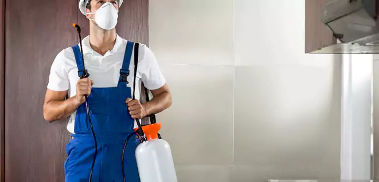 Why Riverside Homeowners Choose Us When Pests Make Selling Difficult